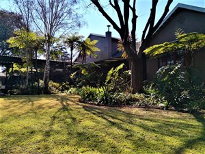 4 Bed House in Florida Park