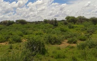 1742 ha Farm in Hopetown