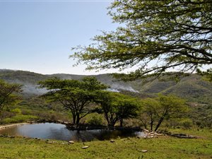 1300 ha Farm in Empangeni