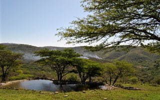 1300 ha Farm in Empangeni