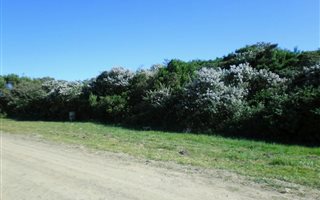 779 m² Land available in Cannon Rocks