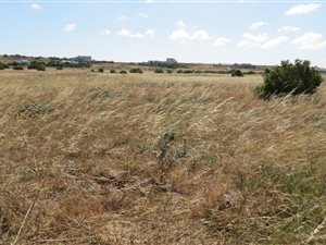 2.6 ha Farm in Long Acres