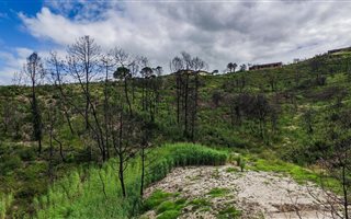 574 m² Land available in Eastford Cove