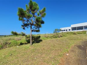 2441 m² Land available in Shelly Beach