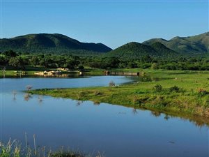 6600 ha Farm in Malelane