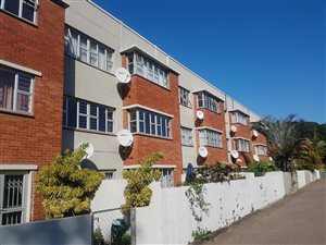 1 Bed Apartment in Musgrave