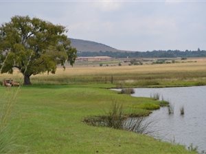 7000 m² Land available in Sterkfontein and surrounds