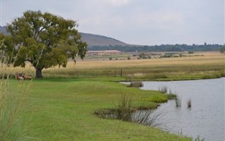 7000 m² Land available in Sterkfontein and surrounds