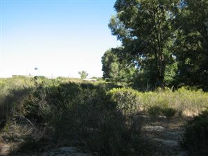 2820 m² Land available in Hopefield