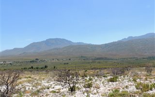 924 m² Land available in Pringle Bay
