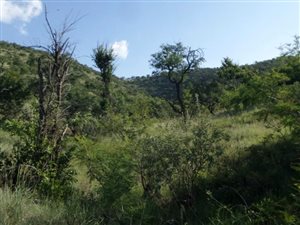 21.4 ha Land available in Lanseria and surrounds