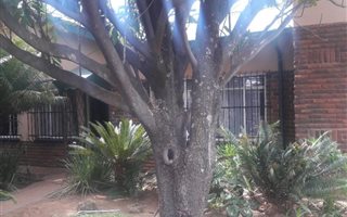 4 Bedroom House in Parktown Estate