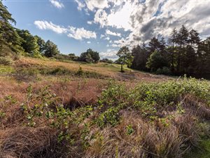 4956 m² Land available in Underberg