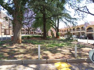 1 Bed Apartment in Albertville