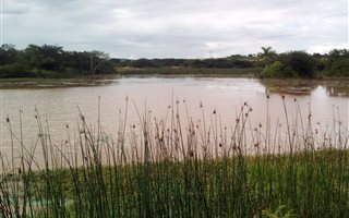 65 ha Farm in Esikhawini