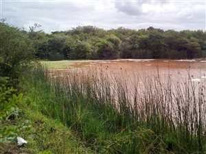 65 ha Farm in Esikhawini