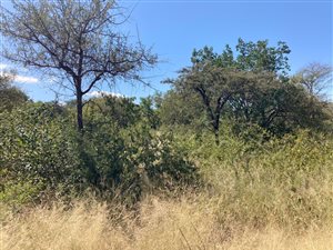 4024 m² Land available in Zandspruit Bush and Aero Estate
