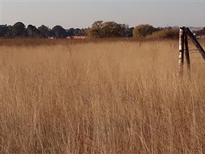 1.4 ha Farm in Heidelberg Central