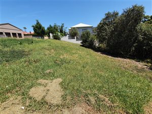 1032 m² Land available in Heather Park
