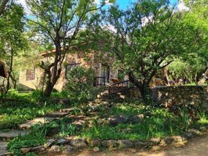 21 ha Farm with House in Hennops River