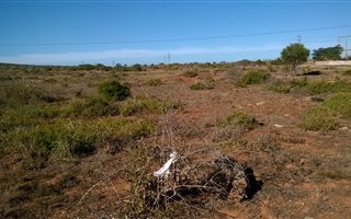 912 m² Land available in Despatch