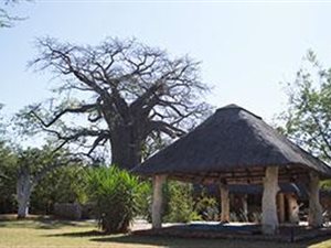 1332 ha Farm in Musina