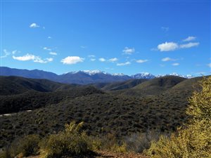 119 ha Farm in Calitzdorp
