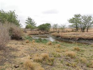 120 ha Farm in Heilbron