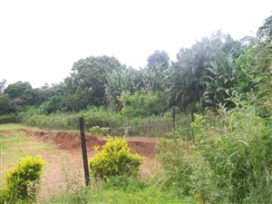 2121 m² Land available in Palm Beach