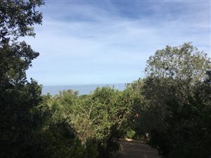 1141 m² Land available in Outeniqua Strand