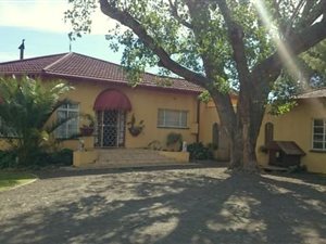 4.3 ha Farm in Olive Hill