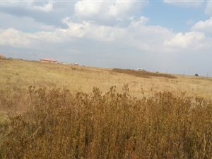 1115 m² Land available in Welgedacht
