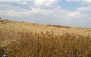 1115 m² Land available in Welgedacht