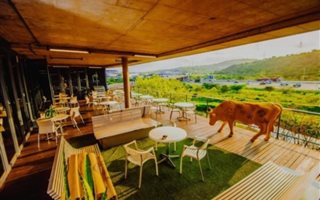 1951 m² Commercial space in Riverhorse Valley