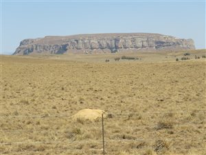 128 ha Farm in Harrismith