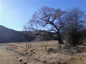 535 m² Land available in Rhodes