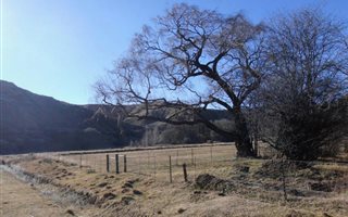 535 m² Land available in Maclear