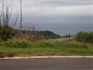 1100 m² Land available in Saiccor