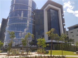 500 m² Office Space in Allandale