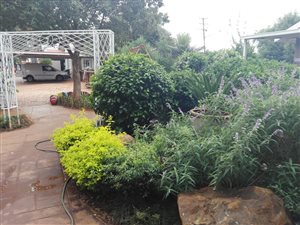 1 Bed Simplex in Montana Gardens