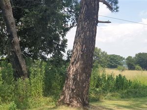 1.1 ha Land available in Zwartkop