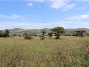 215.7 ha Land available in Rietfontein