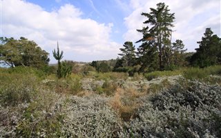 3.4 ha Land available in Wilderness Heights