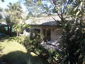 3 Bed House in Yellowwood Park