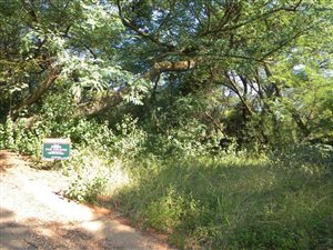 2465 m² Land available in Lynnwood Ridge