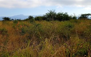 1106 m² Land available in Elti Villas