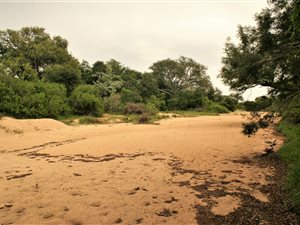 1 ha Land available in Moditlo Nature Reserve