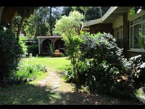 5 Bed House in Arcadia