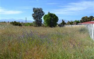 1217 m² Land available in Prince Alfred Hamlet