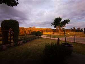 35 ha Farm in Gouna